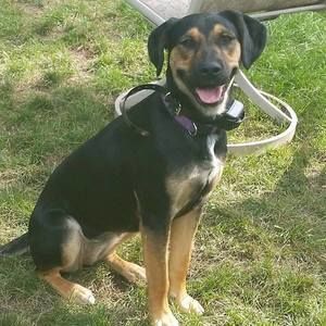 Meet your Posher, Carrie